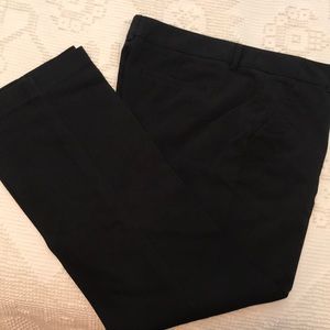 Dress pants